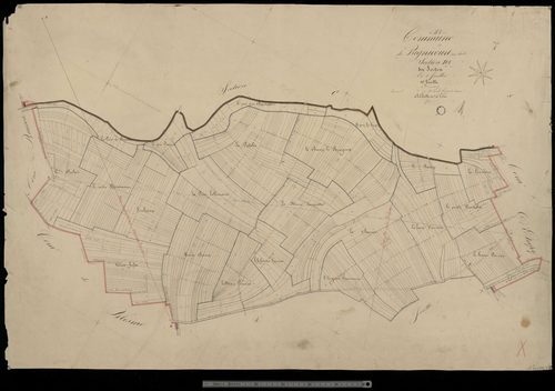 Bignicourt-sur-Saulx. Section D1