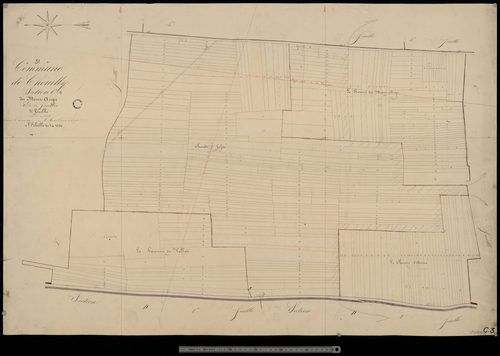 Chouilly. Section C3
