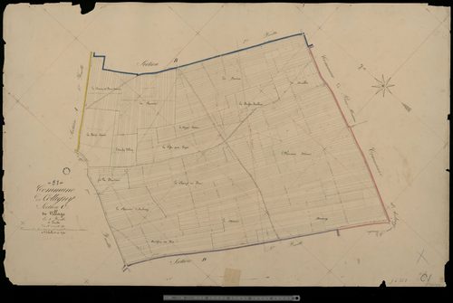 Coligny. Section C1