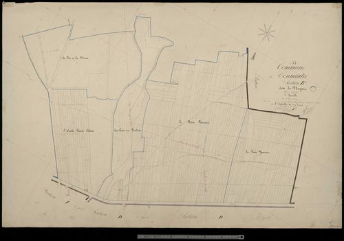 Connantre. Section B5