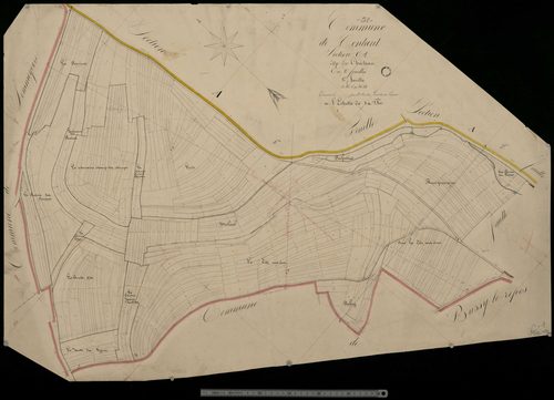 Contault. Section C1