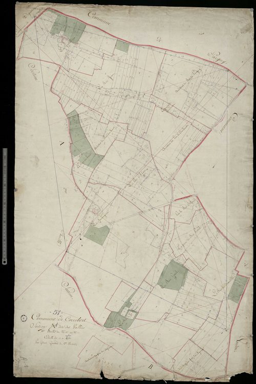 Corrobert. Section A1