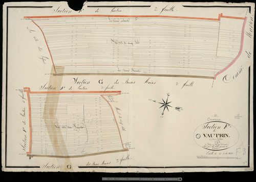 Courtisols. Section F3