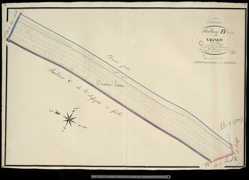 Courtisols. Section B1 (2ème partie)