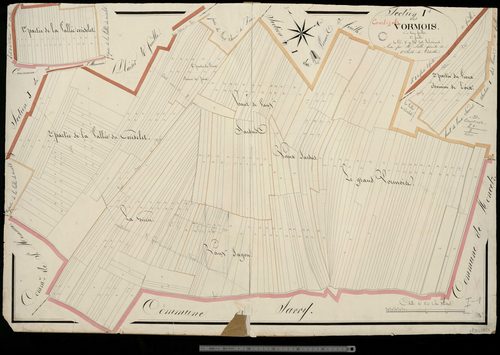 Courtisols. Section I1