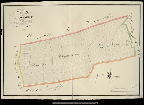 Courtisols. Section E1