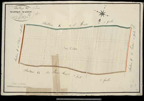 Courtisols. Section G1