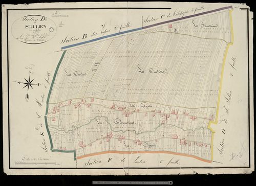 Courtisols. Section D2