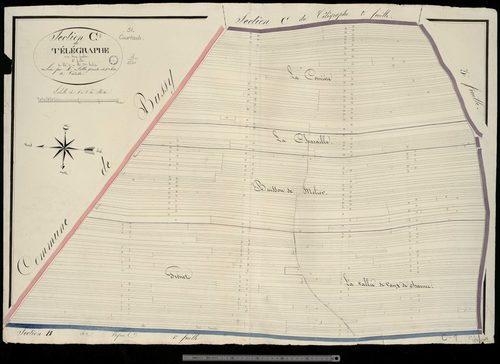 Courtisols. Section C1
