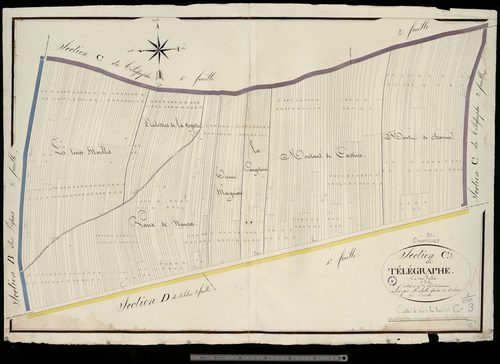 Courtisols. Section C3