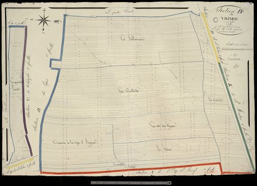 Courtisols. Section B2