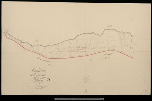 Éclaires. Section D4