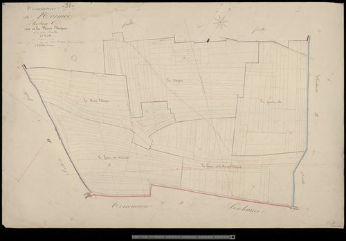 Normée. Section C2