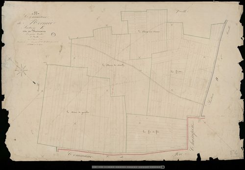 Normée. Section E4