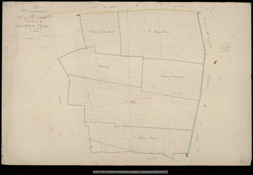 Normée. Section C1