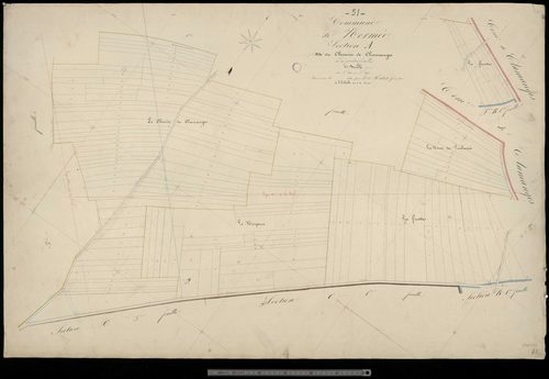 Normée. Section A2