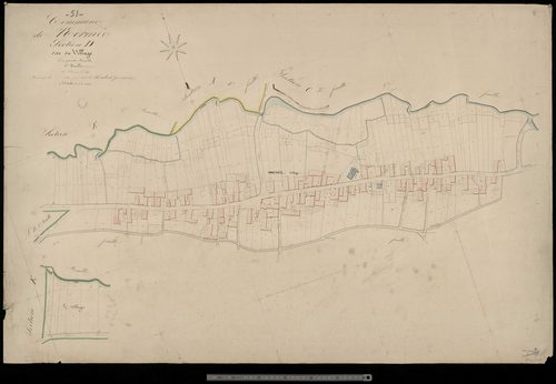 Normée. Section D1