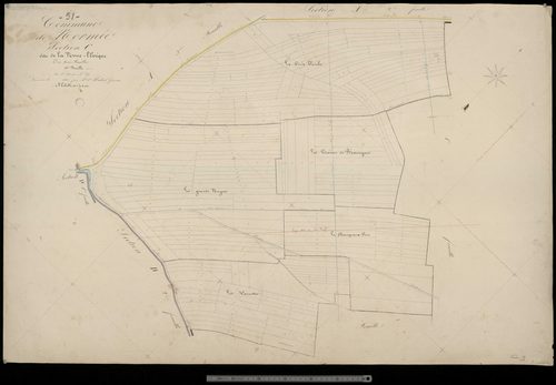 Normée. Section C3