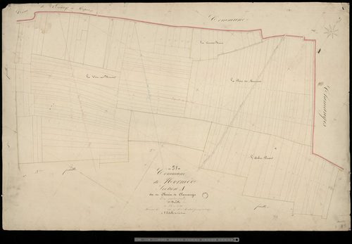 Normée. Section A1