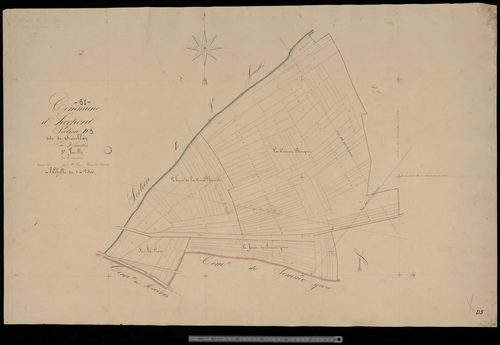 Herpont. Section D3