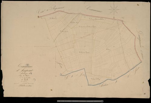Herpont. Section A2