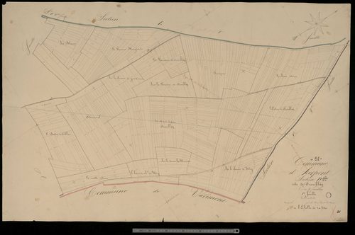 Herpont. Section D1