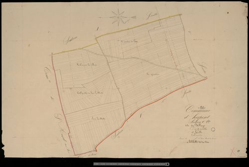 Herpont. Section C1