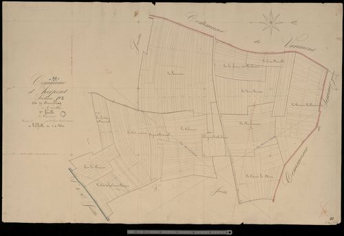 Herpont. Section D2