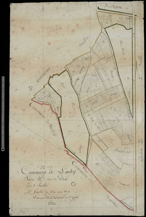 Lachy. Section D2