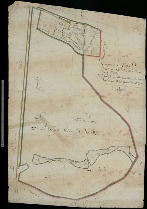 Lachy. Section D1