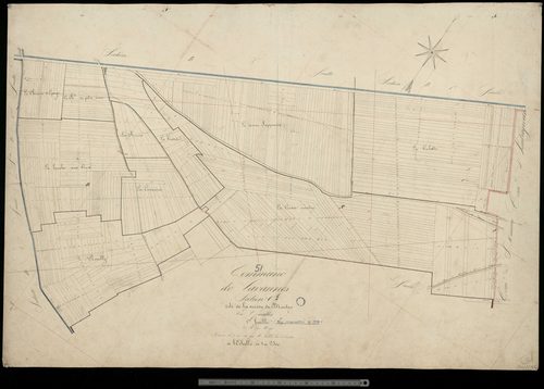 Lavannes. Section C1