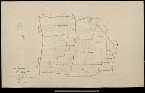 Lignon. Section C1
