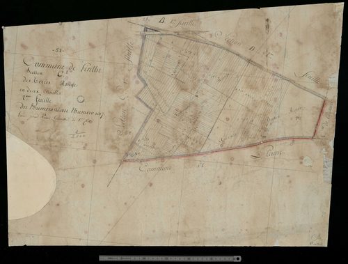 Linthes. Section C2