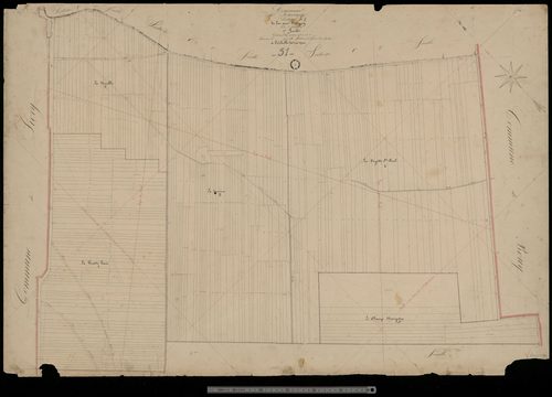 Louvercy. Section D1