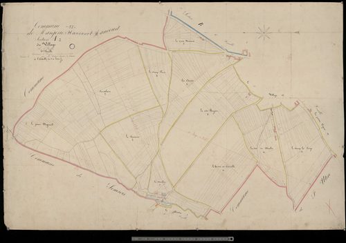 Margerie. Section A2