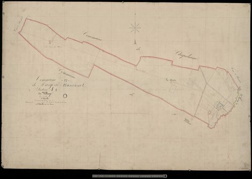 Margerie. Section A1