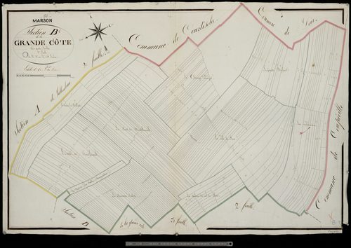 Marson. Section B1