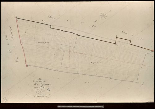 Montépreux. Section D4