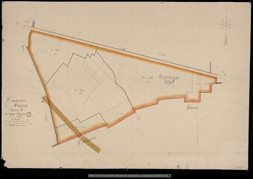 Muizon. Section C3