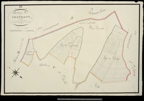 Passavant. Section C1