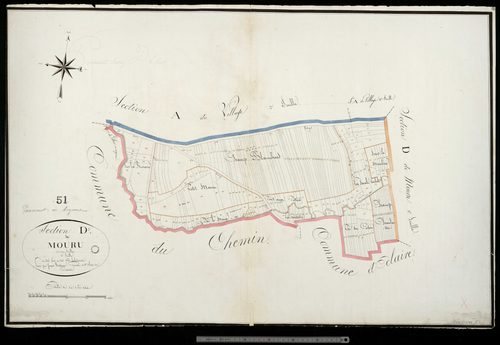 Passavant. Section D2