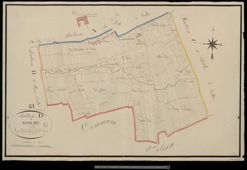 Passavant. Section D1