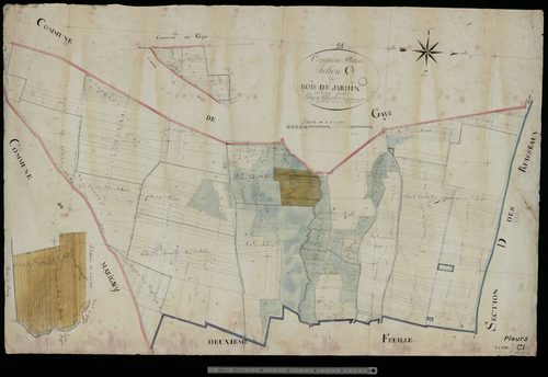 Pleurs. Section C1