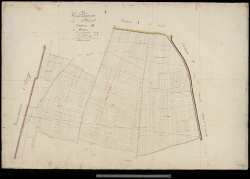 Plivot. Section D2