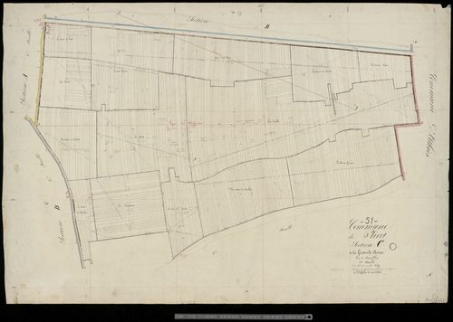 Plivot. Section C1