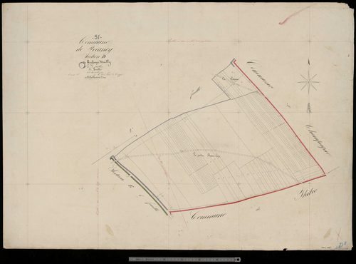 Pocancy. Section D3