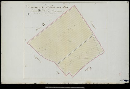 Saint-Pierre-aux-Oies. Section D1