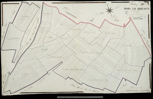 Somme-Vesle. Section D3