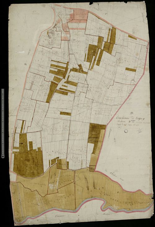 Trigny. Section D