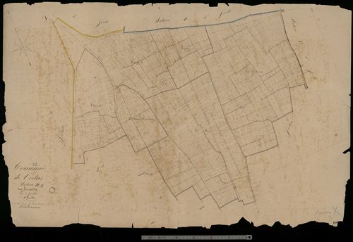 Vertus. Section D1